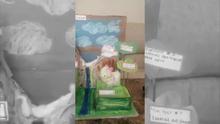 At Home Learning: Leah's Llama Project